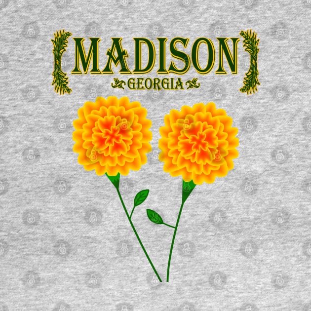 Madison Georgia by MoMido